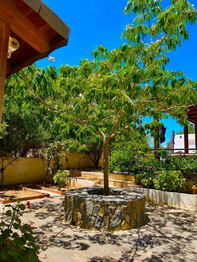 Cherrywood Creta Apartment Ierápetra Extérieur photo